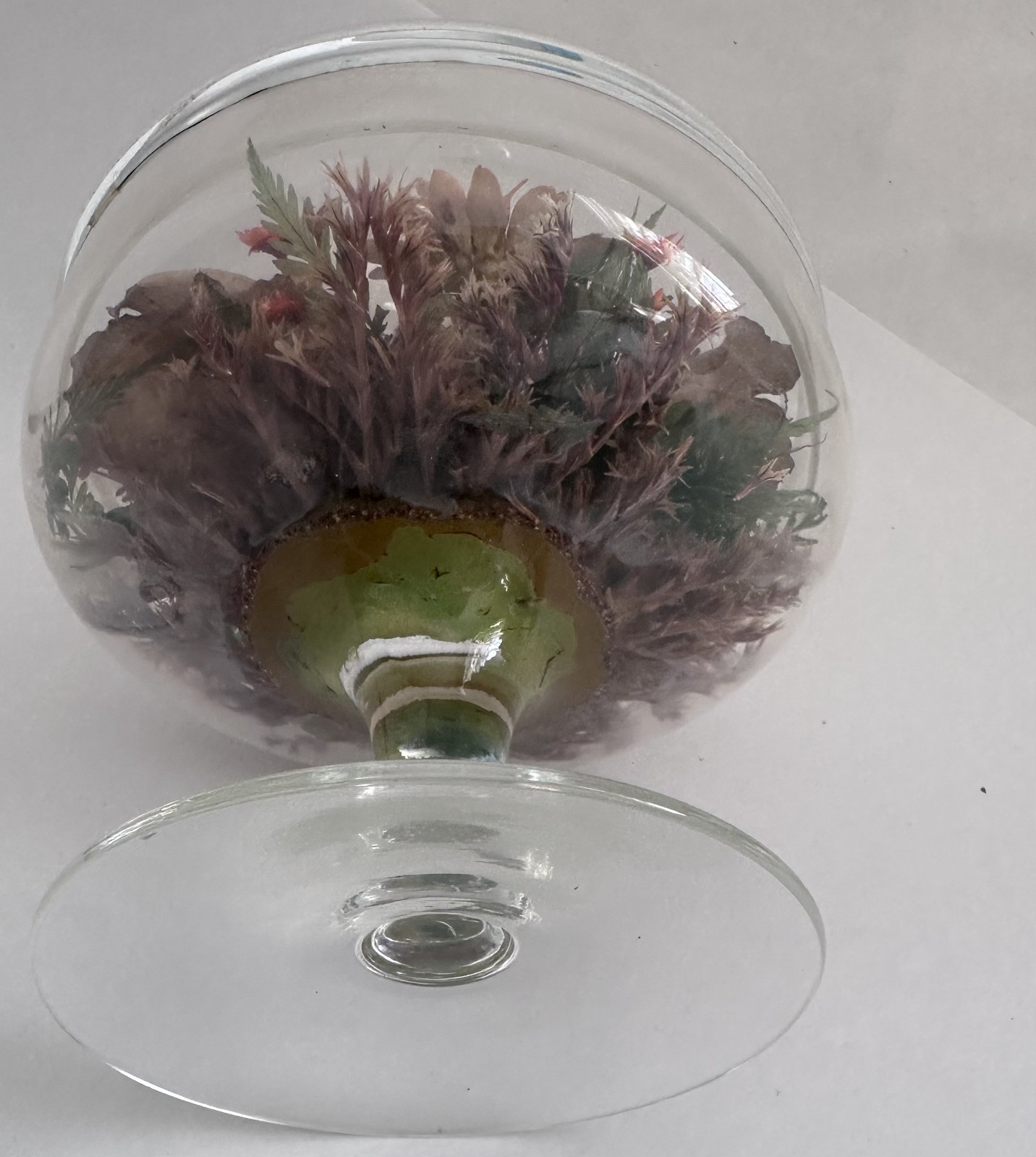 Vintage Glass Cloche Terrarium Butterfly Dried Flowers Pedestal Dome Display