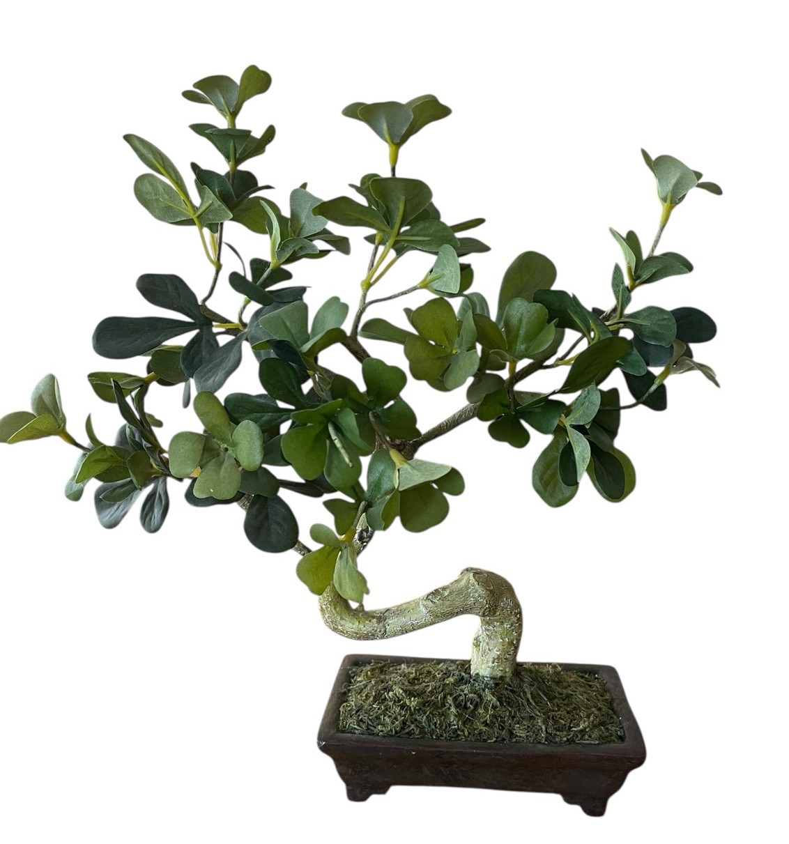 Artificial Penny Green Leaf Bonsai 11” Tree In Ceramic Pot Office Decoration