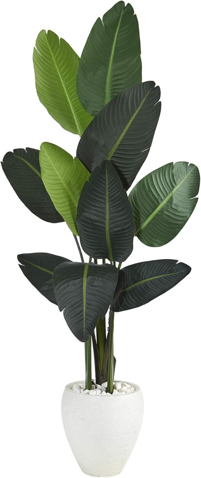 63″ Travelers Palm Artificial Tree in Elegant White Planter –