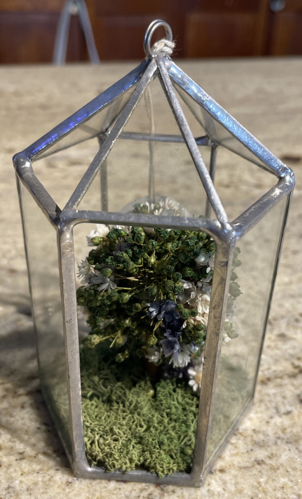 Handcrafted Octagon Real Dried Flowers Hanging Glass/Metal Frame Floral Decor 5”