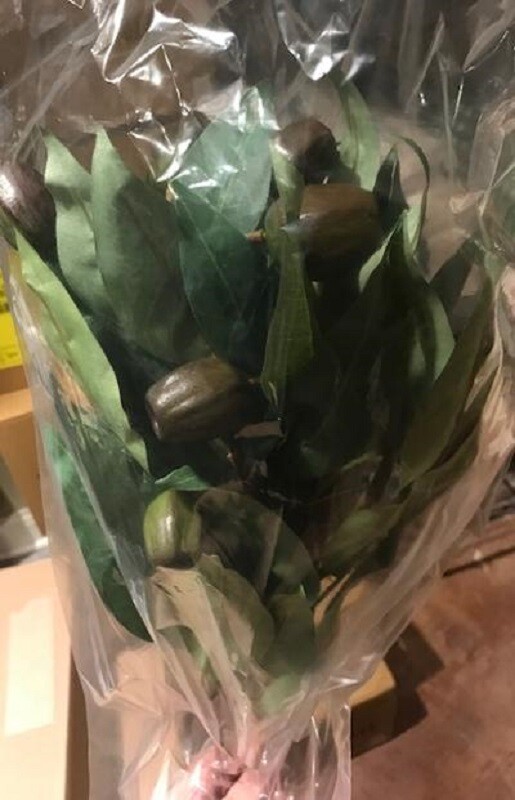 Pottery Barn Faux Budding Eucalyptus Stem Branch Set 4 Green 33H Flowers More+🦩