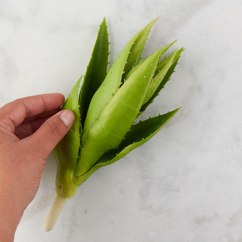 Green Vinyl Closed Aloe Plant Pick