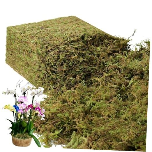 2.2LB Large Capacity Fake Moss for Plants Indoor, 35 OZ Fresh Green – 992gr