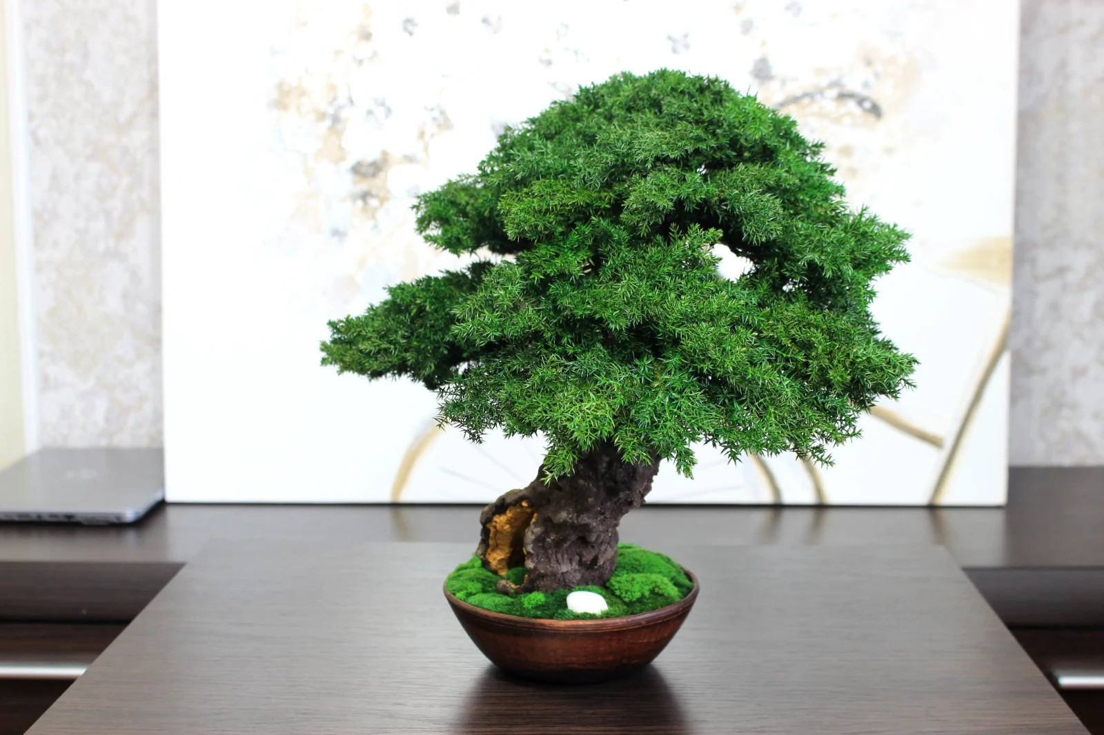 Exclusive Preserved Juniper Bonsai – Interior Art Sculpture. 37 cm / 14,6″