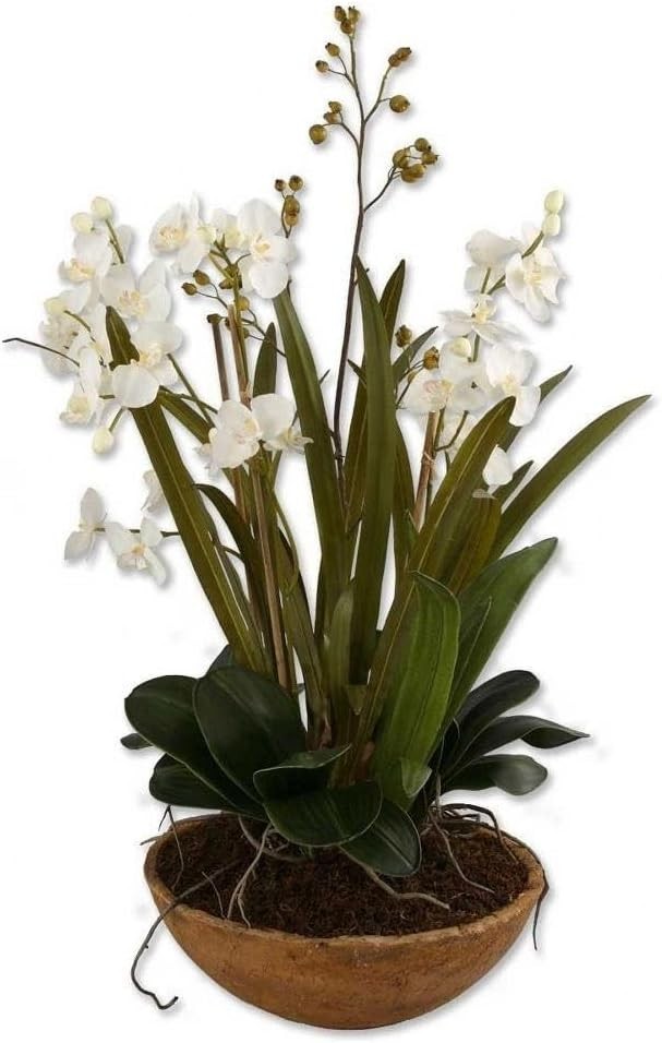 Uttermost UT-60039 Moth Orchid Planter in Hand Painted, Natural Brown, White