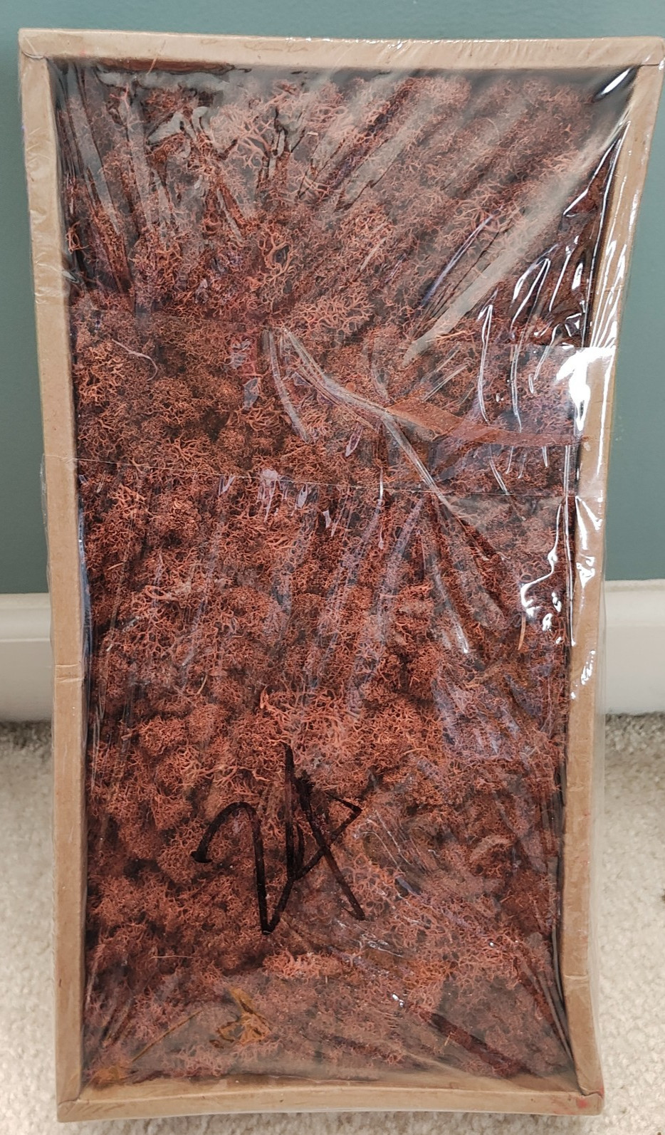 Artificial Reindeer Moss Coffee Color 500g Box – Fast Shipping