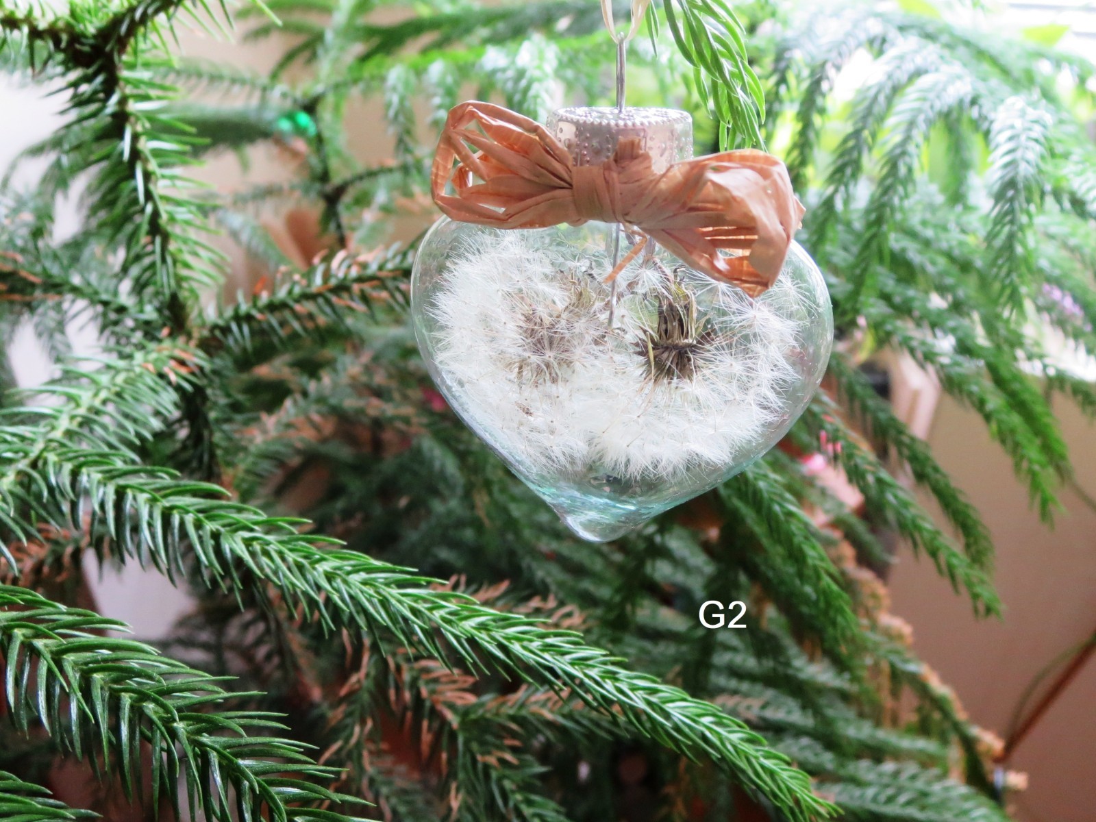 Dried Dandelion Art Dandelion Flower For Craft Dried Flowers decor Dandelions