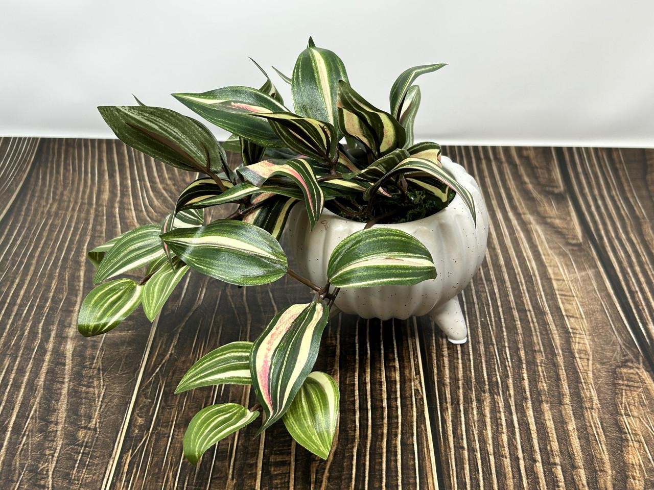6″ Small PINK JEW faux Silk INCH plant potted in Matte Dot White Ceramic Pot, ha