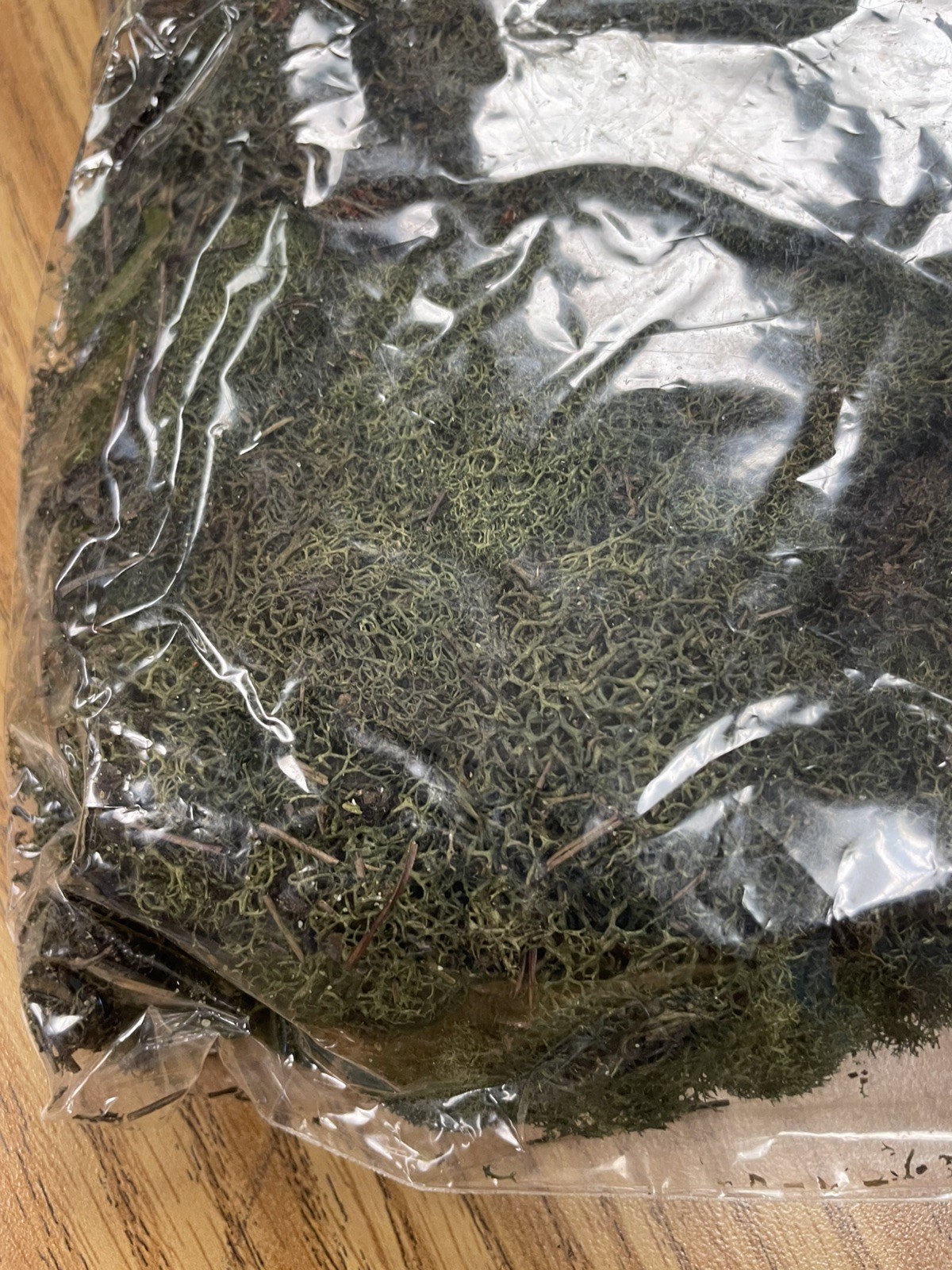 PRESERVED NATURAL REINDEER MOSS GREEN FOR CRAFTS VILLAGES & RAILROAD DISPLAYS