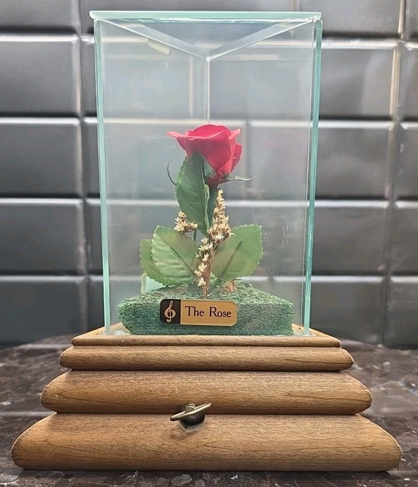 Lifesake Flowers Chesterseal Musical Real Rose Preserved In USA Glass Case