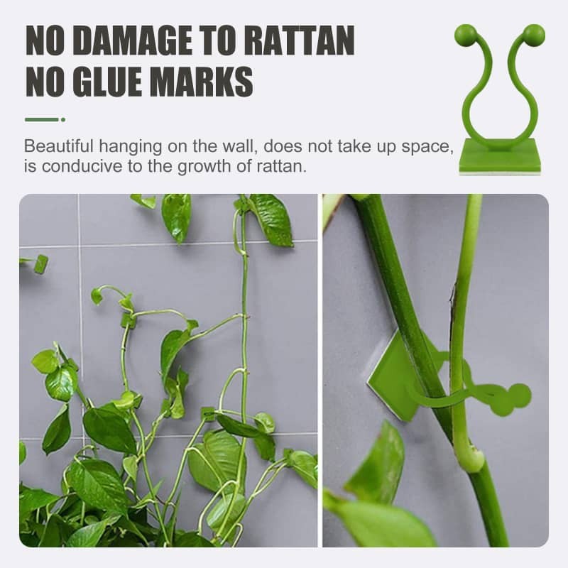 Plant Climbing Wall Fixer Household Vine Growth Climbing Rack Garden Supplies