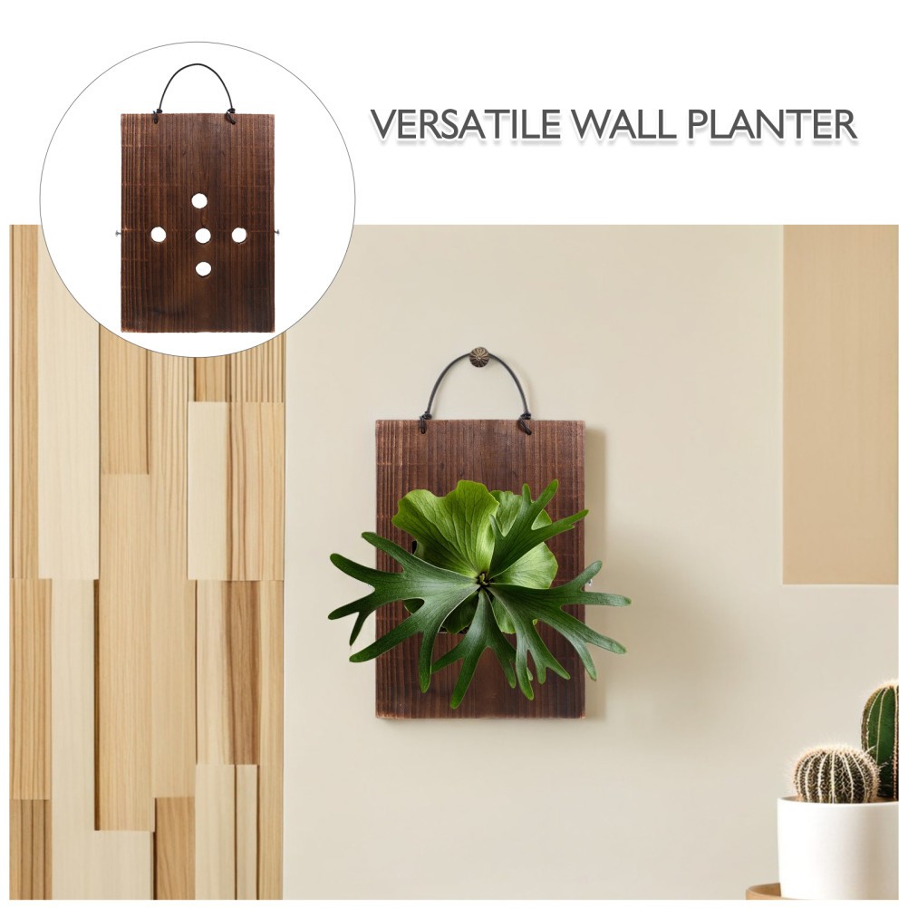 Fern Mounting Board: Wood Vertical Planting Board, Hanging Plant