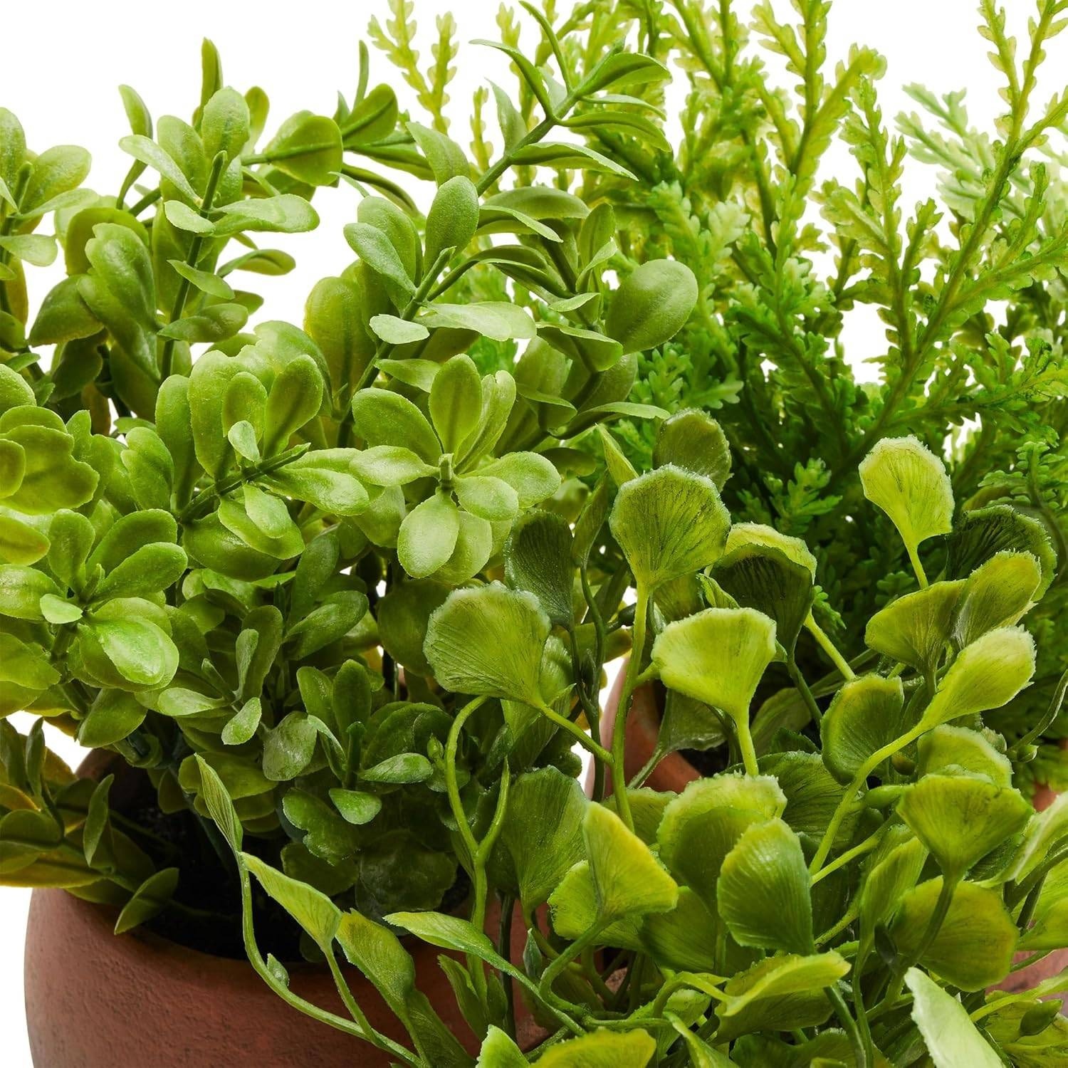 Pure Garden Set of 3 Artificial 8 inch Greenery Plants in Flowers Garden Pots