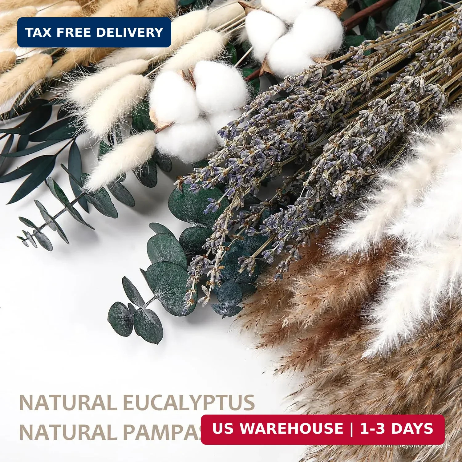 Natural Dried Flower Bouquet – Pampas Grass, Cotton Stems, Bunny Tails Grass, Eu