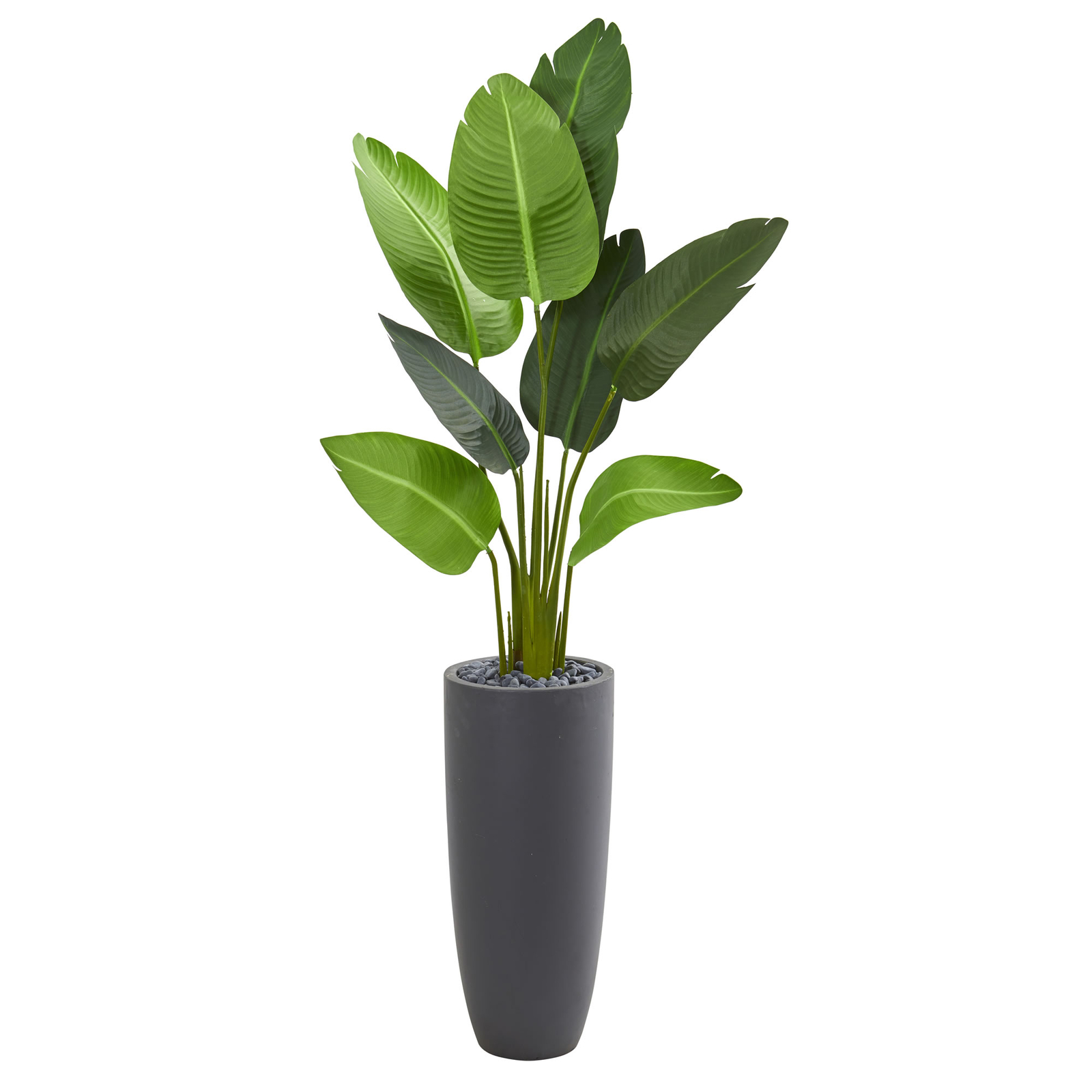 Natural 5.5’ Traveler’s Palm faux Tree In Gray Planter Decor