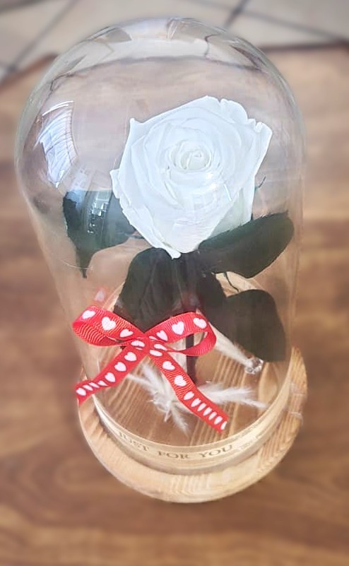 Rose Eternal White Real Flower in Glass Dome Lasts 2-3 Years Valentine’s Day Gif