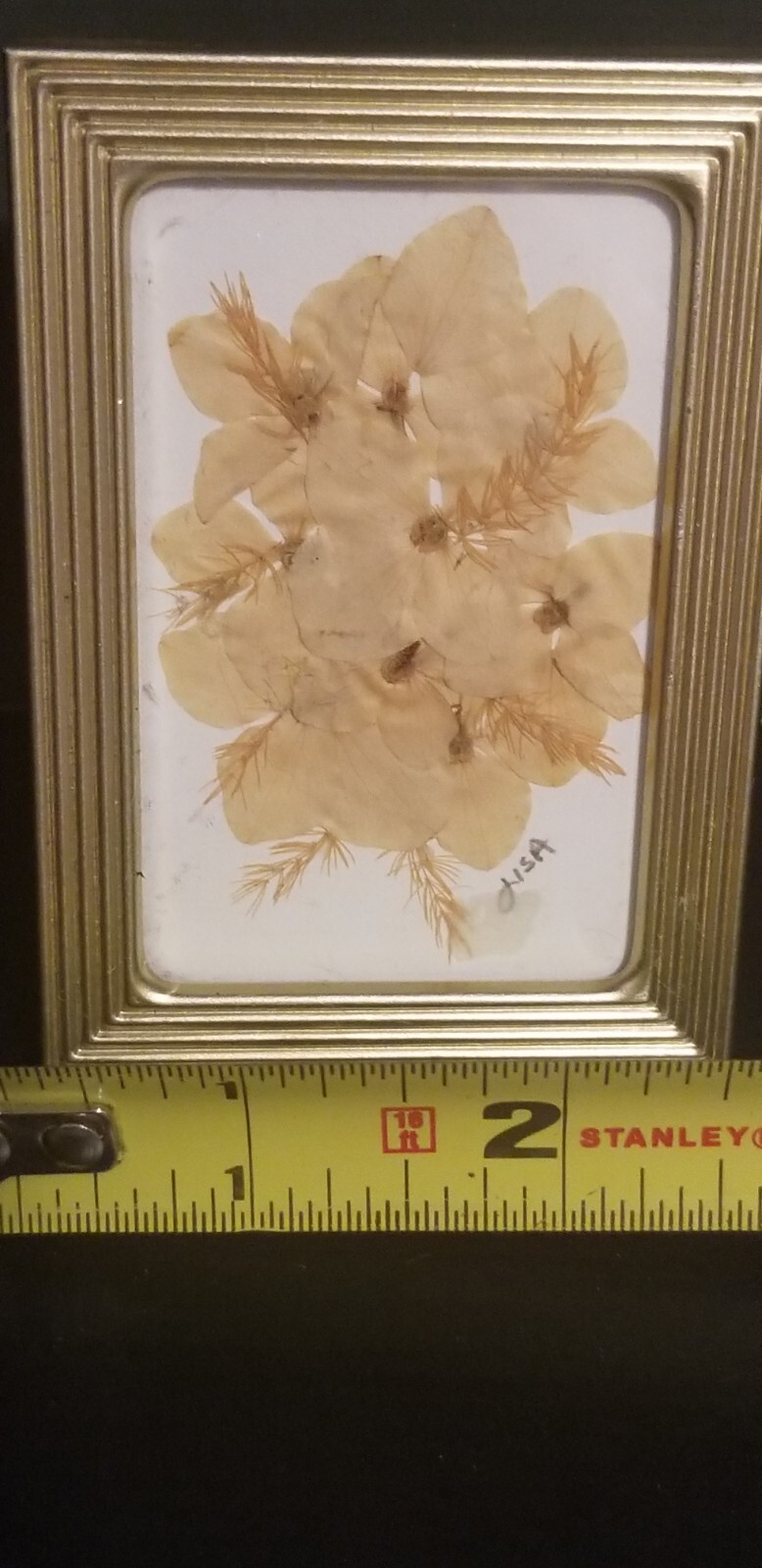 Small 2 3/8″ X 3 3/8″ Press Dried Flower #10 Yellow Framed FF25