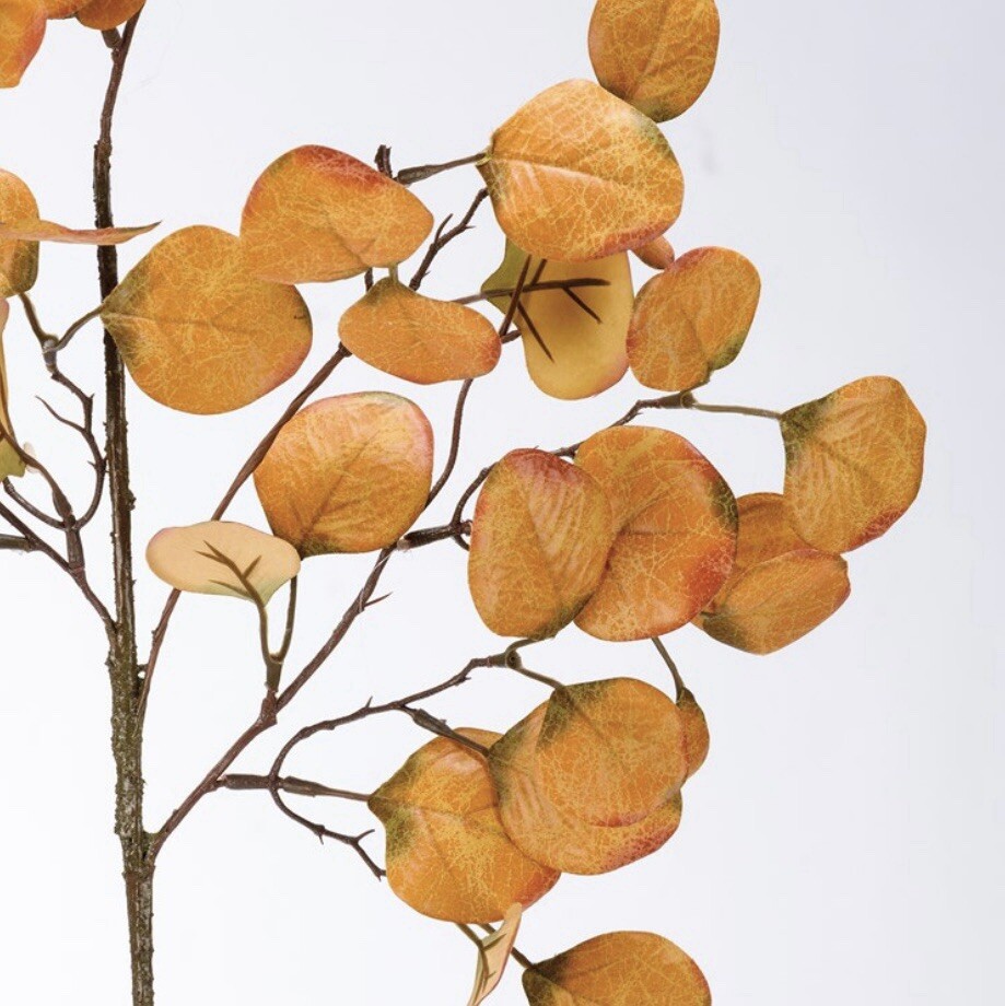 Gold Eucalyptus Pick, 28” One Pick Only