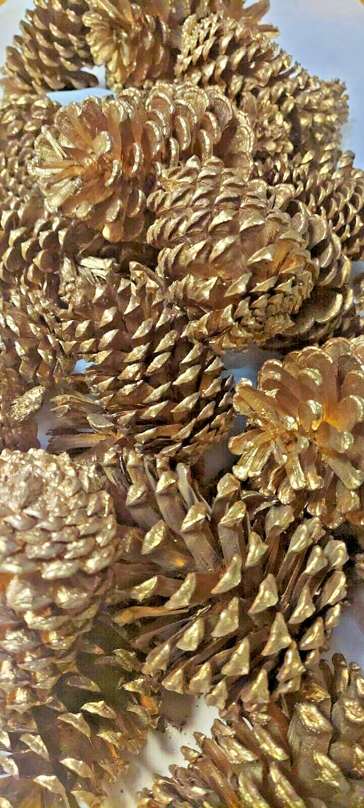 🎅15 Gold Painted Natural Pinecones