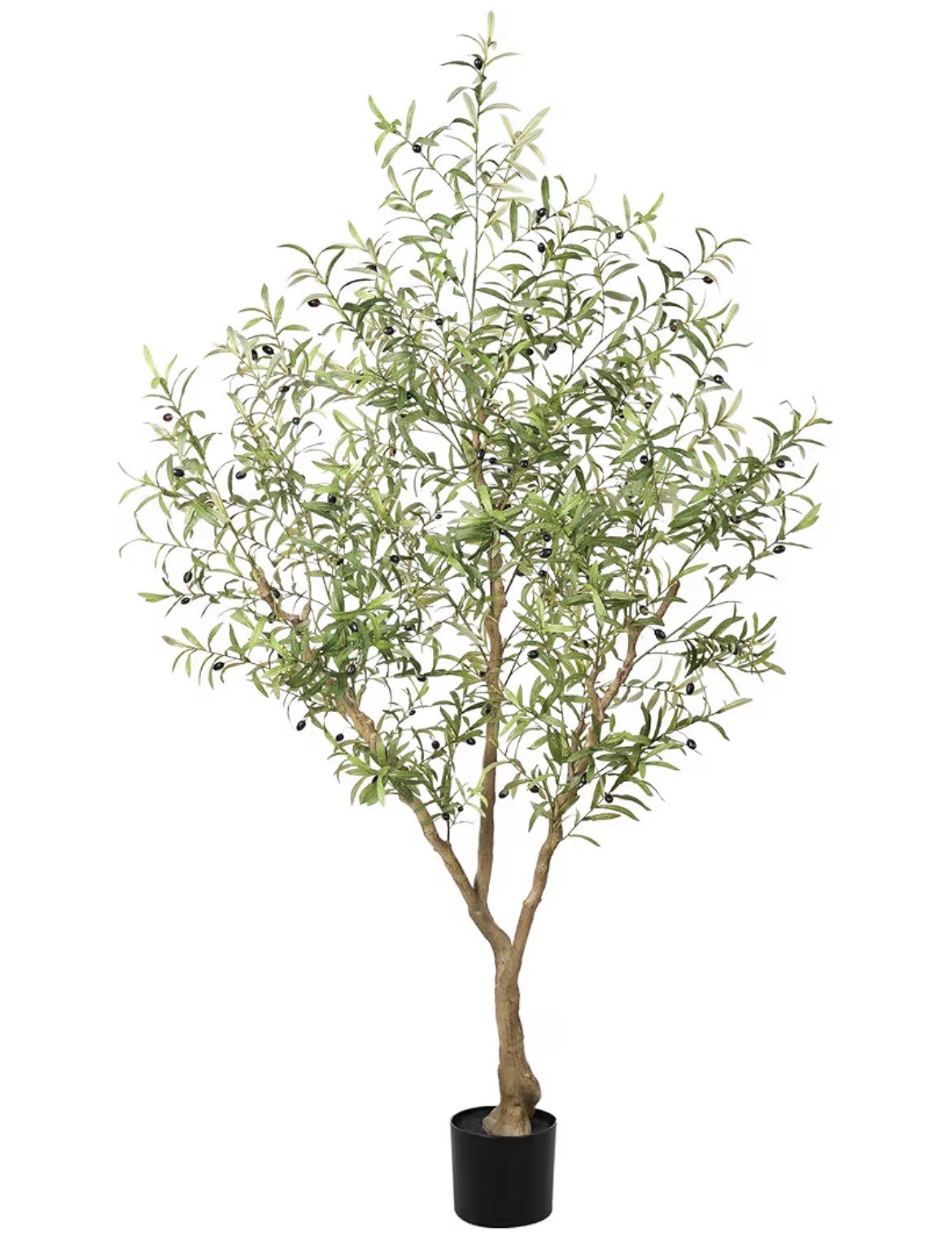 Olive Trees Artificial Indoor – Faux Olive Tree 7ft with Large Olive Branches