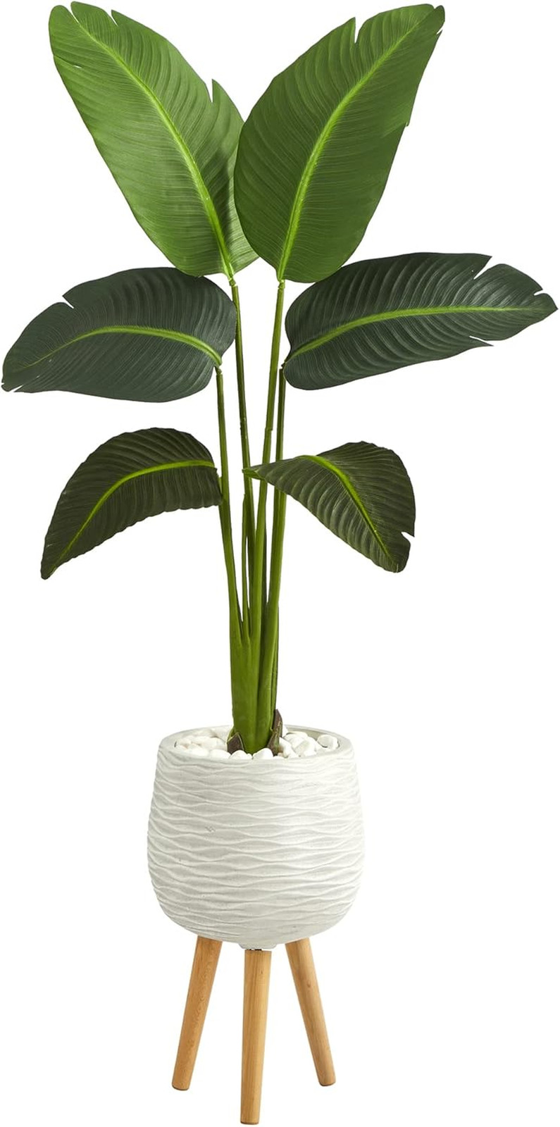 5Ft. Real Touch Travelers Palm in White Planter with Stand –
