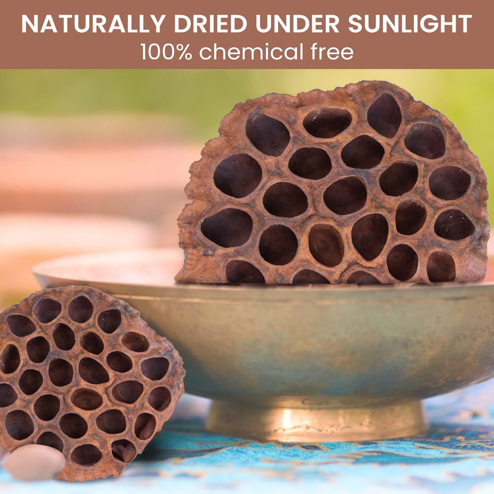 Dried Lotus Pods Pack of 25 Pods for Floral Arrangement and Home Decor,Natura…