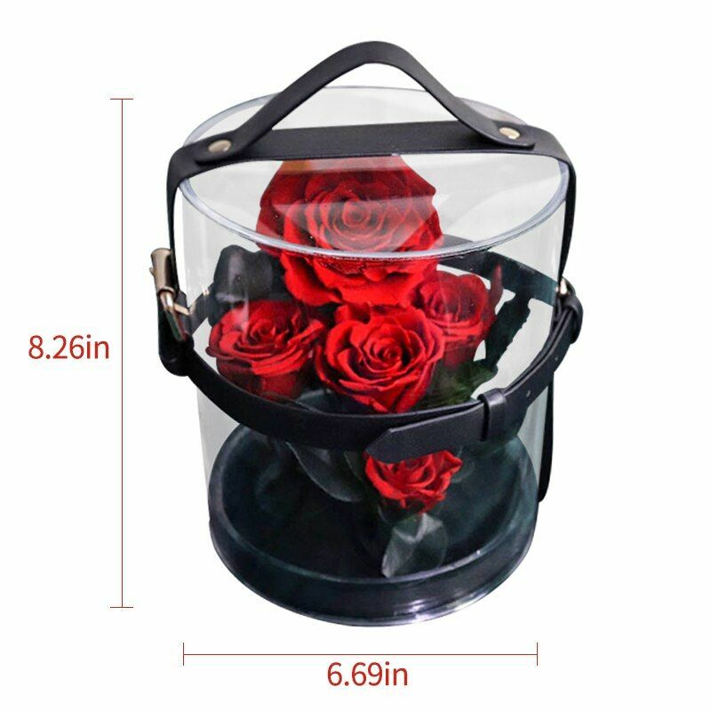 Eternal Flowers Rose Valentine Christmas Wedding Birthday Gifts For Girlfriend