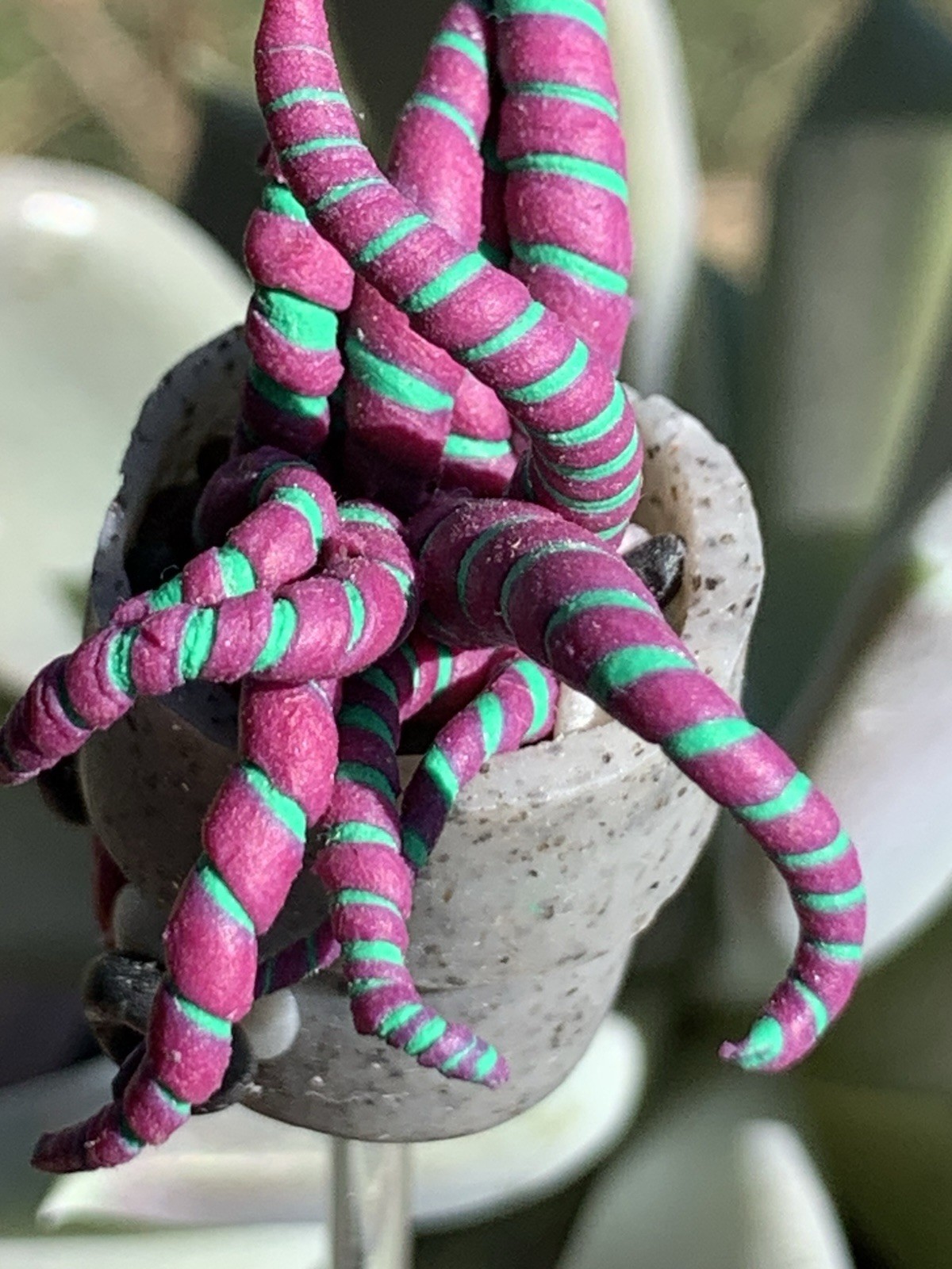 Handmade One Of A Kind Polymer Clay Plant Stick “Pothead” Plant Deco