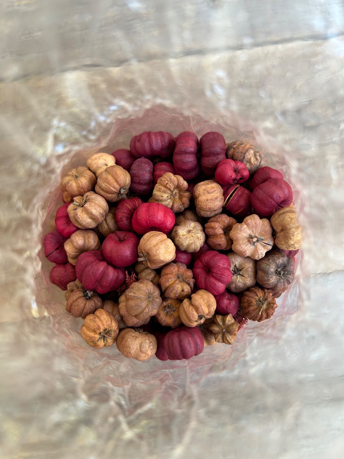 Mini Pumpkins Putka Pods Fall Holiday Decor Unscented Potpourri Bowl Vase Filler