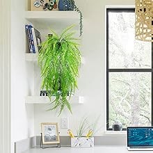 Realistic Artificial String of Pearls Plant – Faux Hanging Succulent Trailing