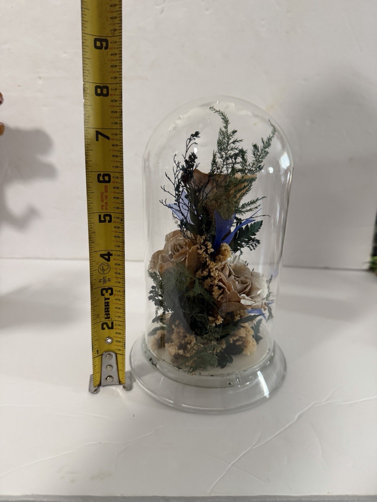 Natural Expressions Real Freeze Dried Rose Floral Dome Glass Display 8”