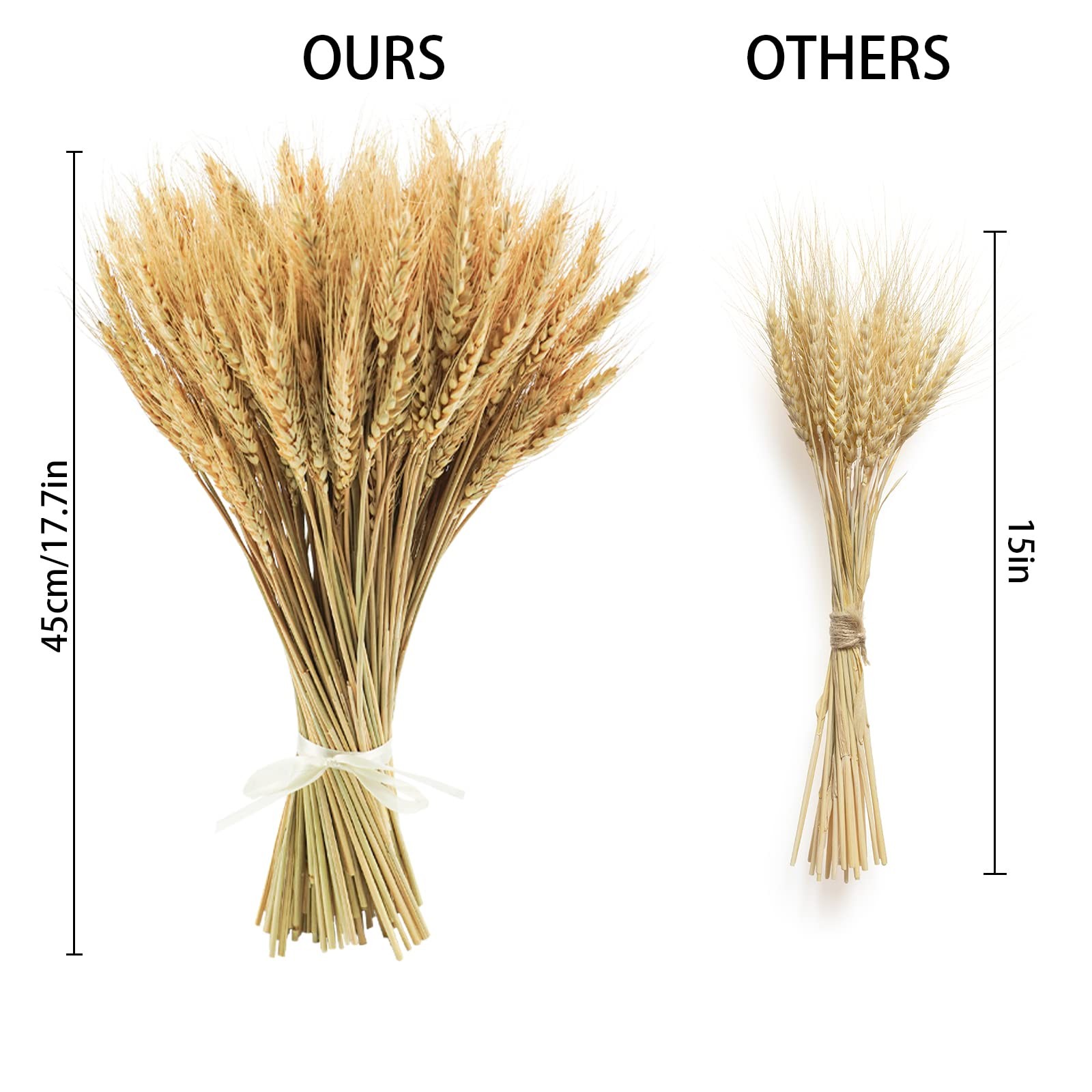 17.7 inches Dried Wheat Stalks, 100 Stems Dried Flowers Natural Wheat
