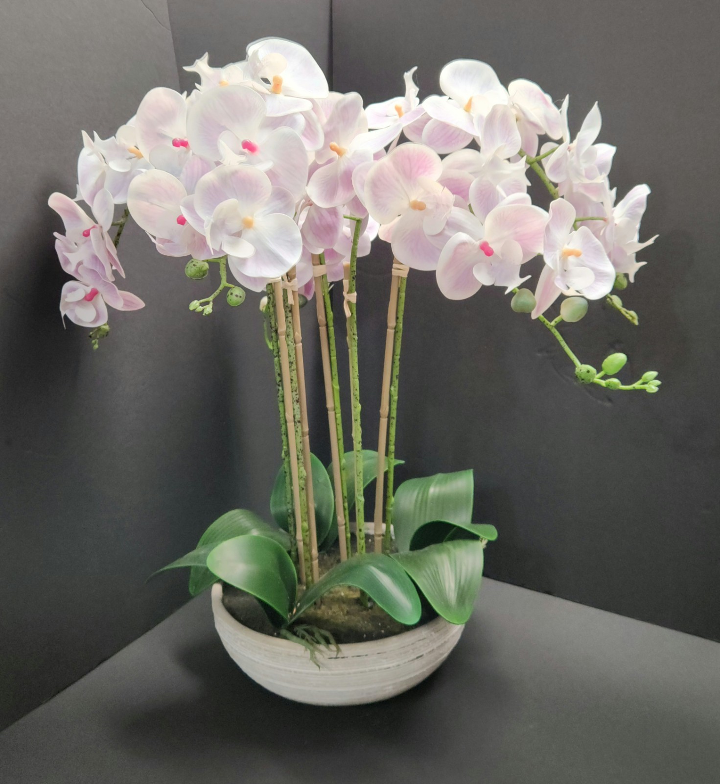 Allen + Roth Silk Artificial Orchid – New