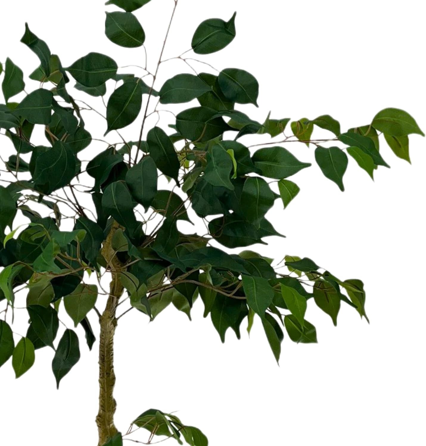 Moss & Bloom 4ft Artificial Ficus Tree in Planter Full Natural