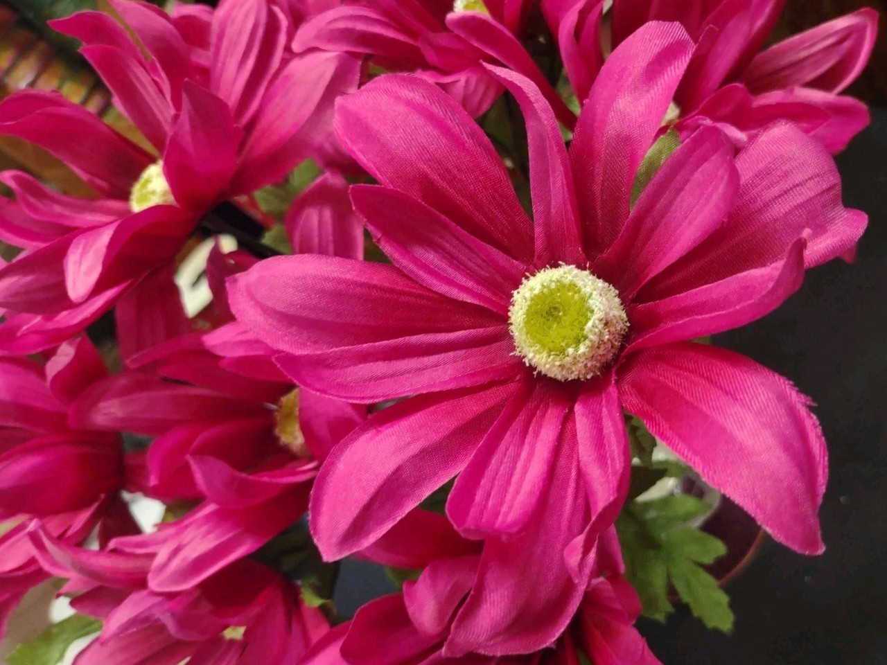 18″ Spider Dahlia, Silk Bush “Grand Teton” w 9 Stems, Hot Pink Beauty, 5″ Blooms