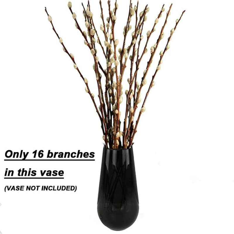 30 Branches Pussy Willow Branches for Vases 23 Inches Natural Dried Pussy Willow