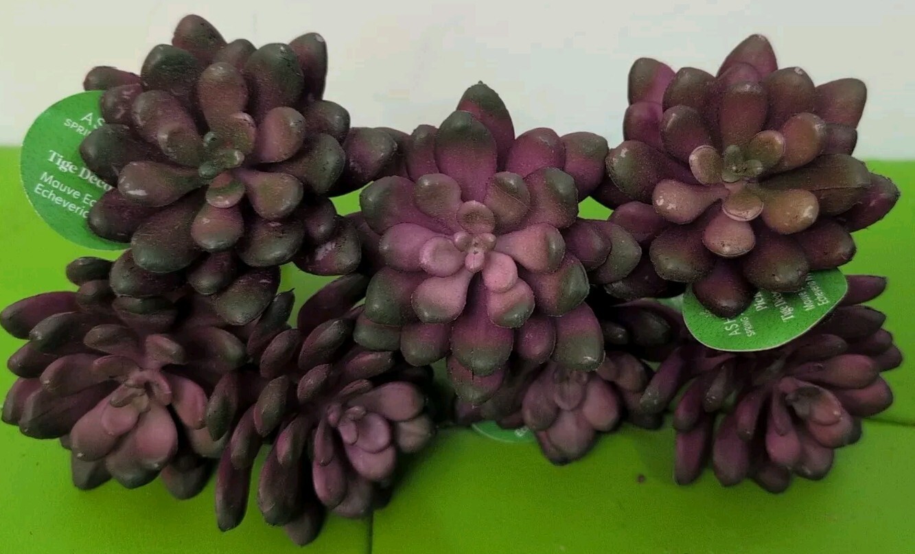 Artificial Mauve Succulents Echeveria (7) Picks Spring