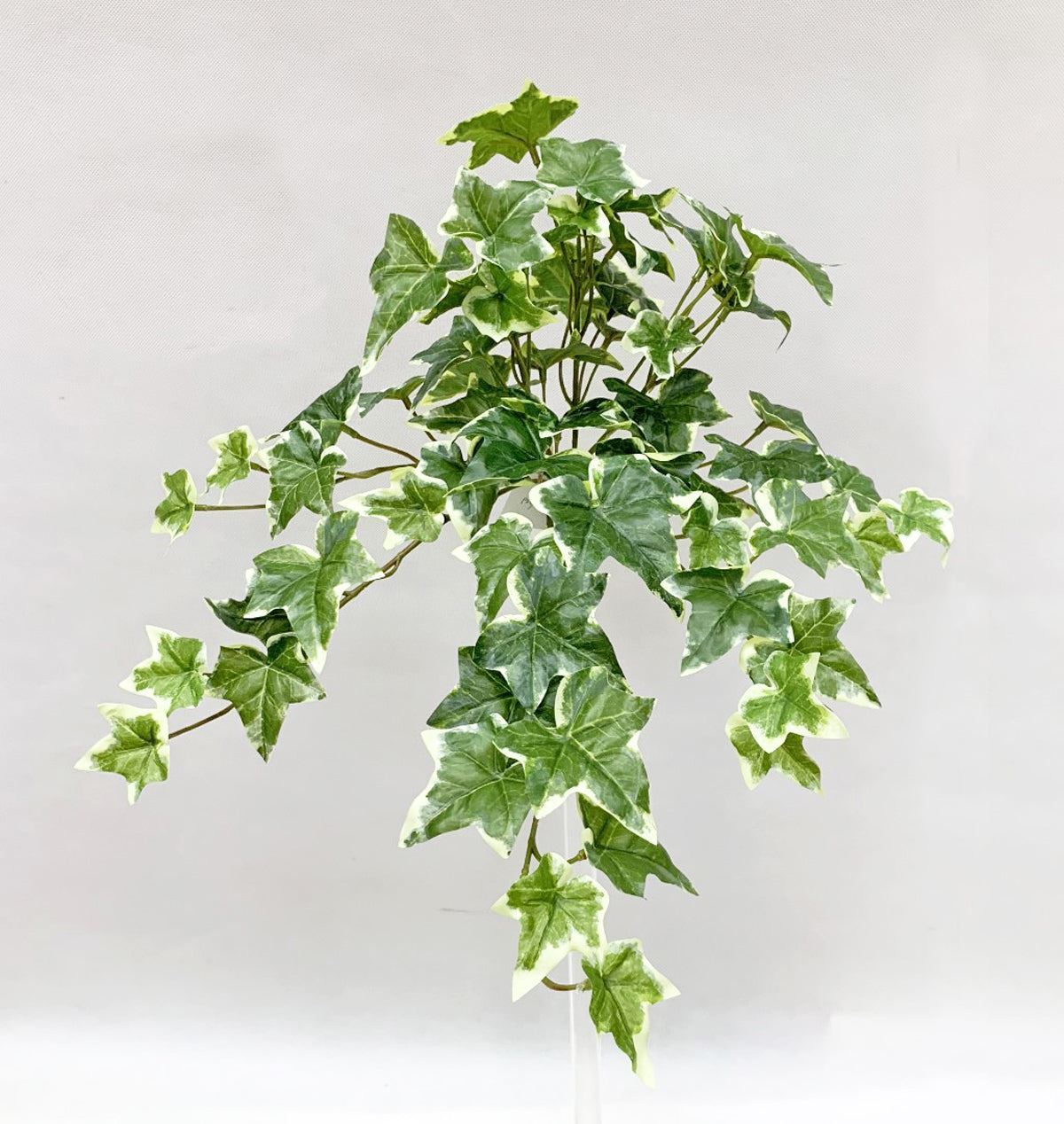 VARI. Green Real Touch Sage Ivy Hanging Bush , 19″ H, with 66 Leaves, 8 Stems