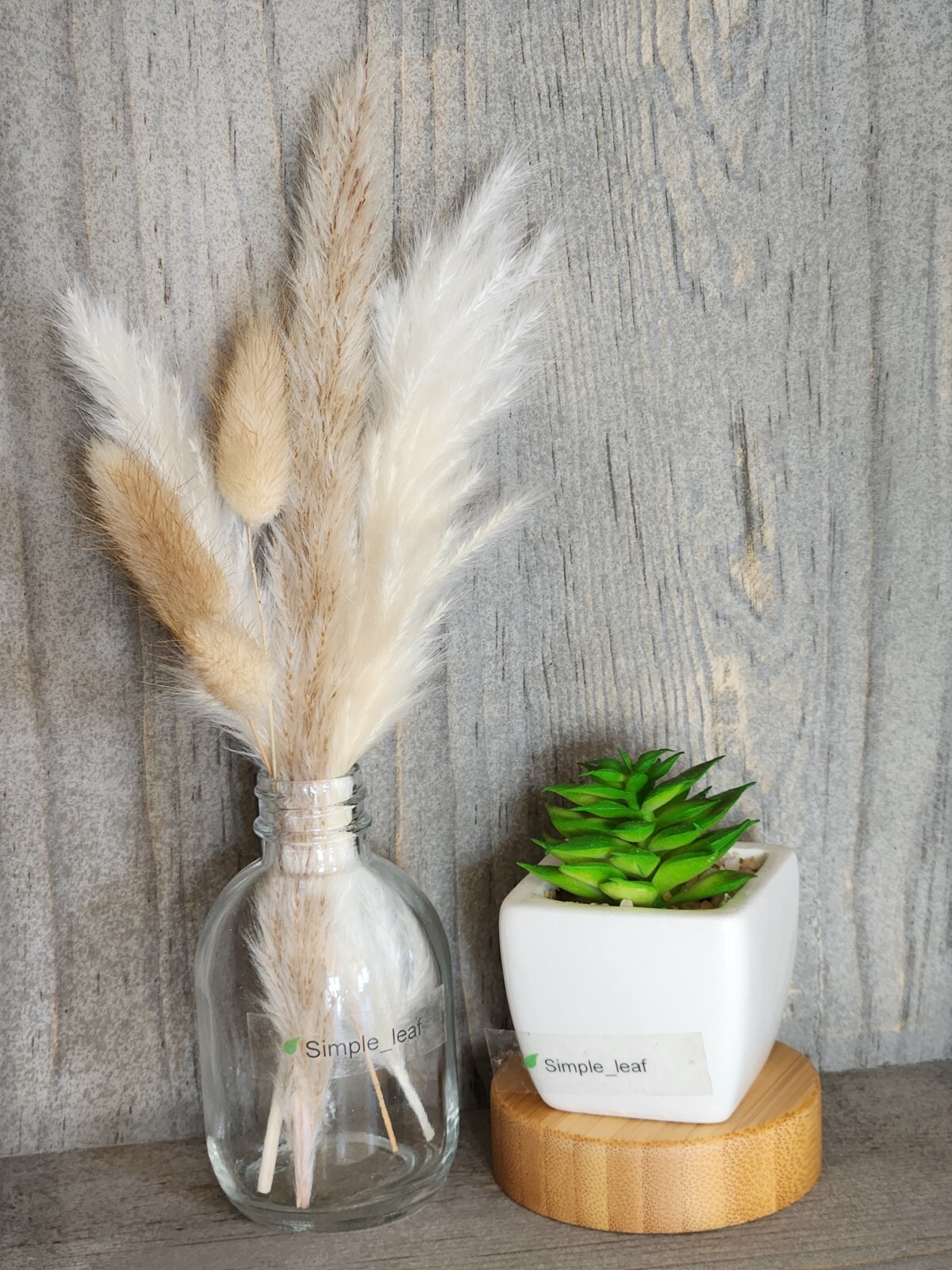 Decor Set – 3 Potted Artificial Succulent, Dried Grass Bouquet in Glass Bottle