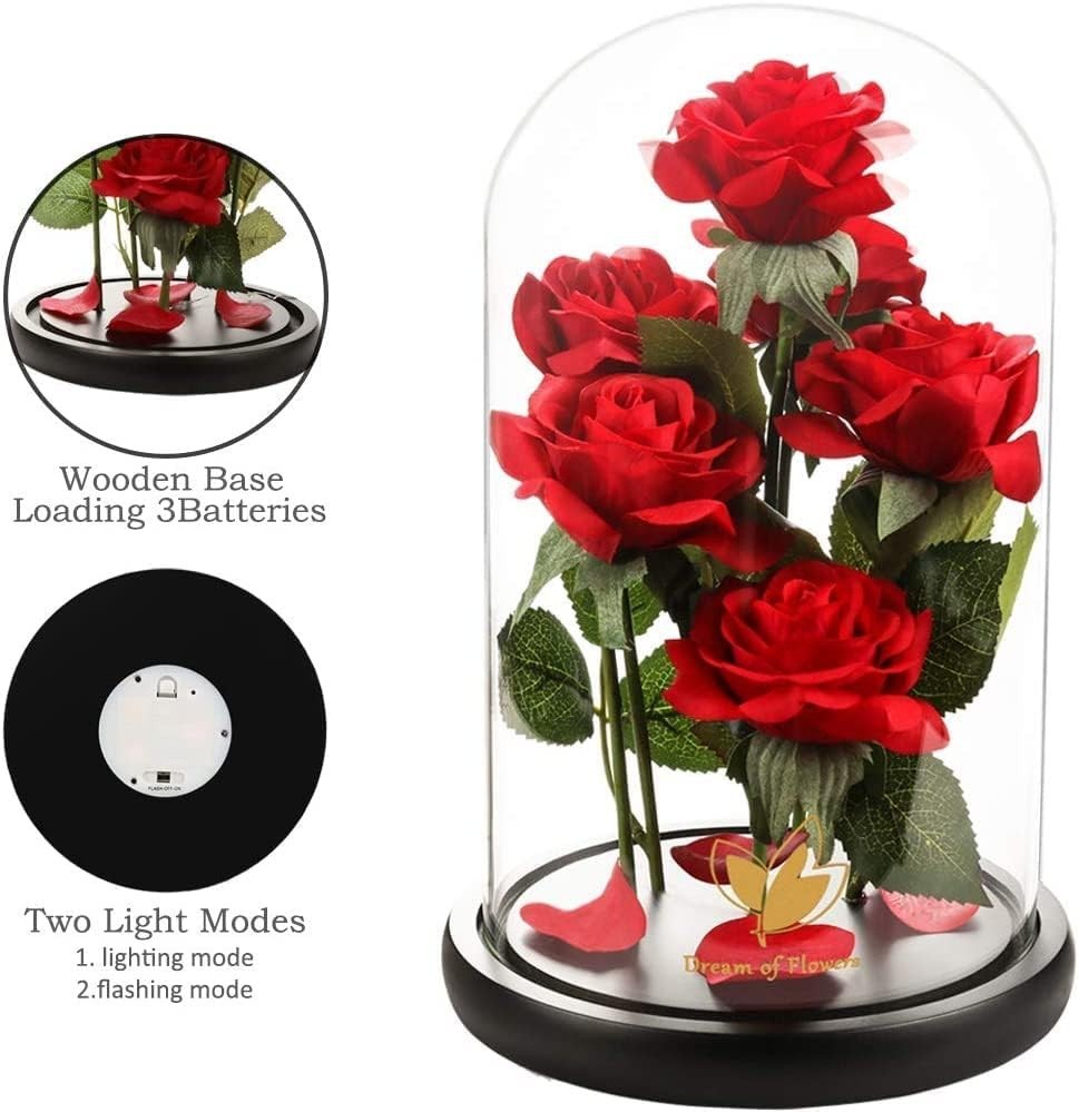 Eternal Rose in Glass Dome with LED Light
