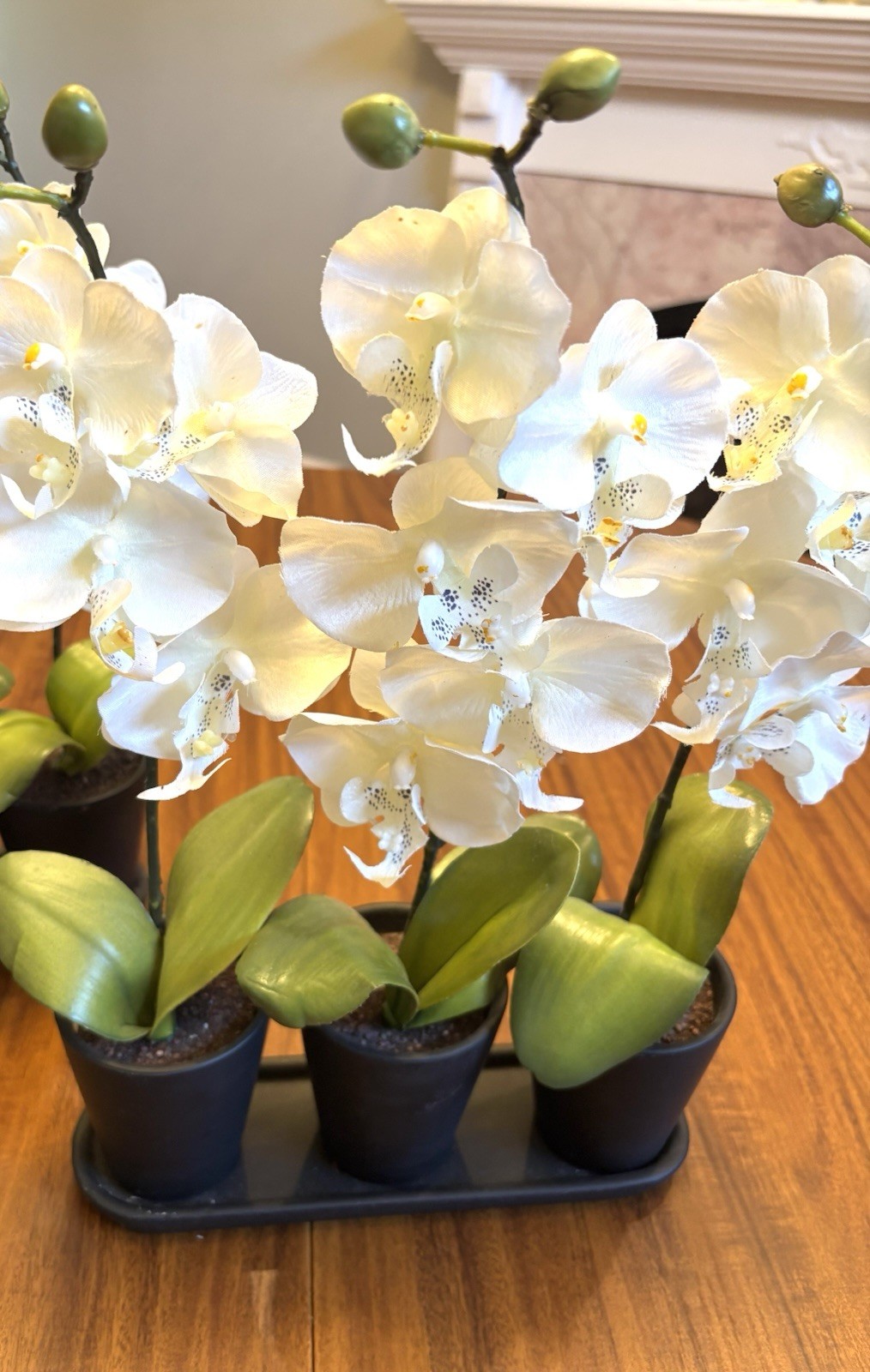 Silk Flowers In Pots Table Shelf Decor Two Arrangements Orchids