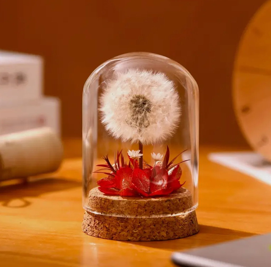 2.4×3.15 inches Mini Natural Dandelion Preserved Eternal Flower Decor Cherished