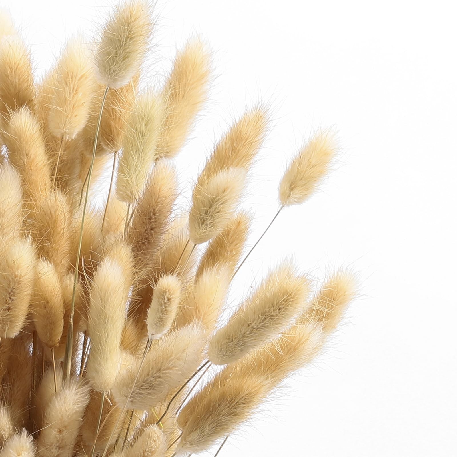 120PCS Bunny Tails Dried Flowers,17″ Brown Pampas Grass Natural Rabbit Tail G…