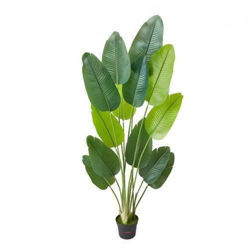 Artificial Bird of Paradise 6 ft Tall, Fake Tropical Plants with with 13 Trunks