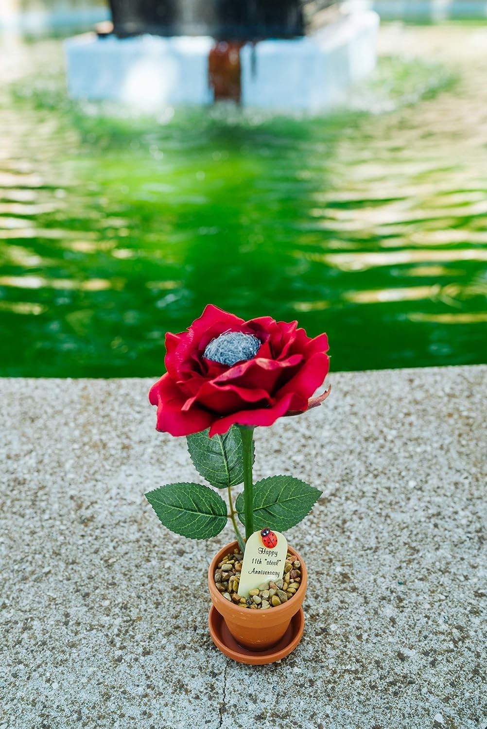 Steel Anniversary Rose – Terra Cotta Pot