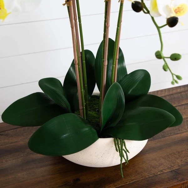23” Artificial Phalaenopsis Orchid Arrangement in Ceramic Planter (Real Touch)
