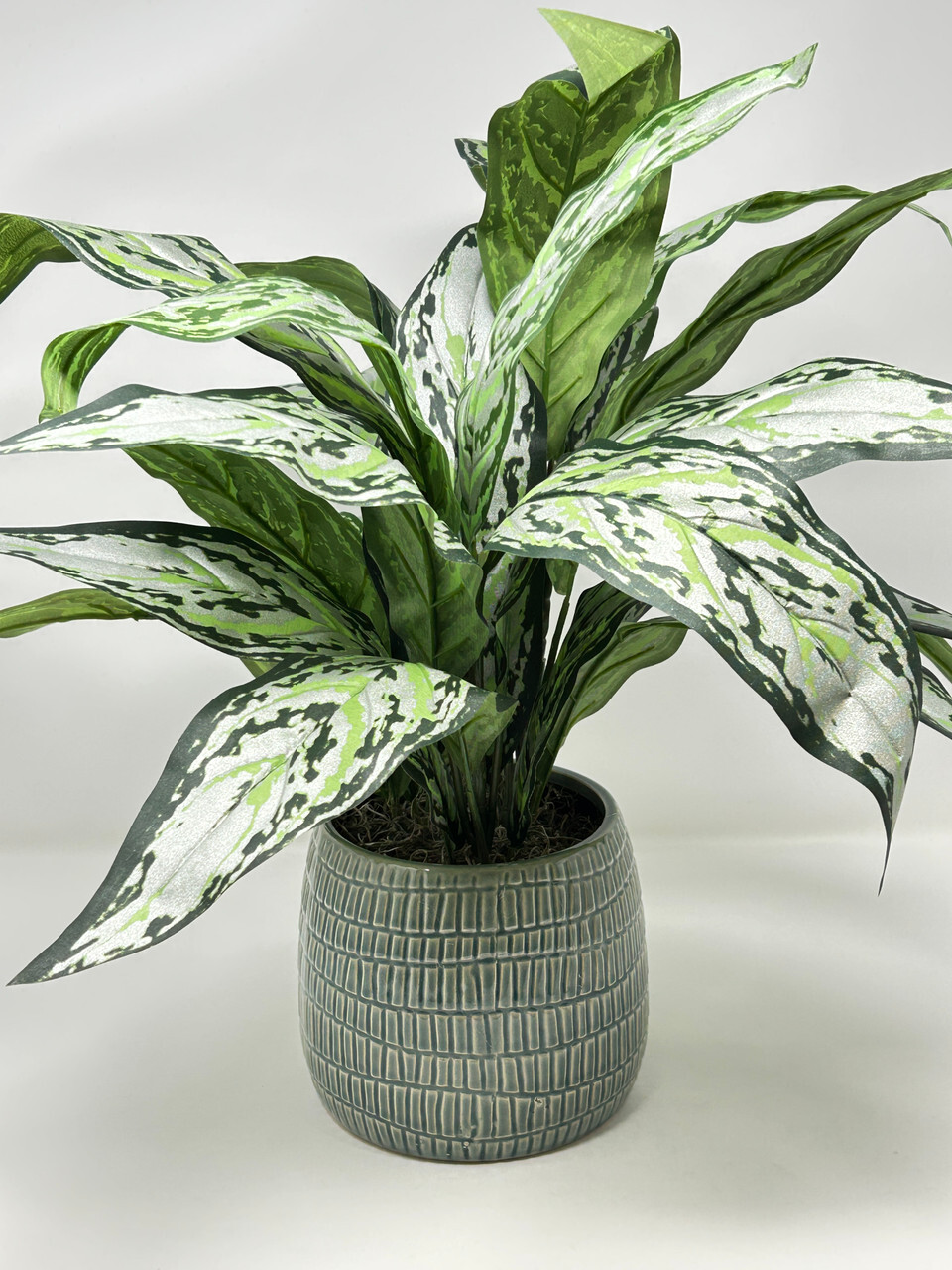 18″ Large SILVER QUEEN AGLAONEMA artificial silk Sword plant, 5″ Cream-green Cer