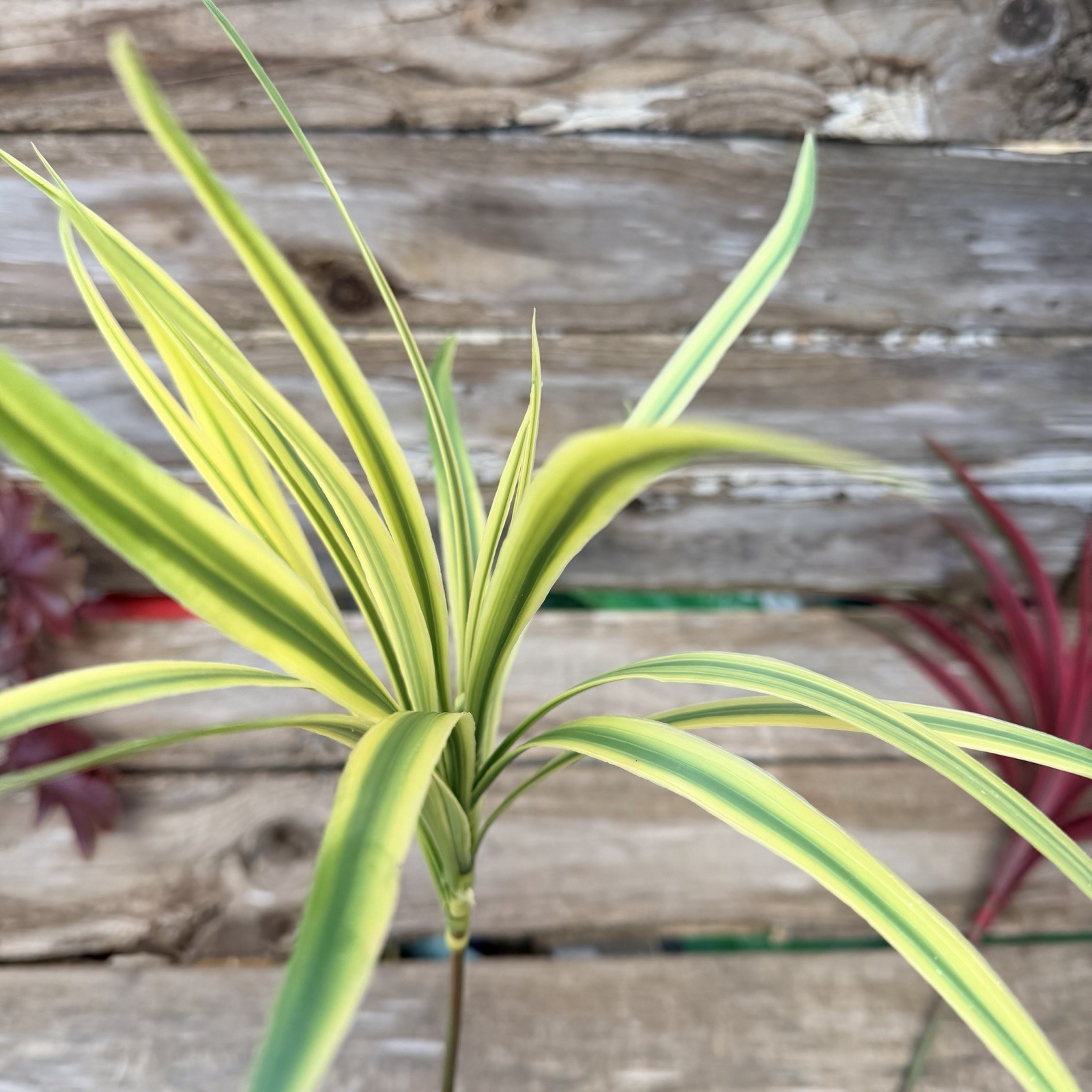 MCM Plastic Houseplant Stem Spider Plants and Japanese Maple Tiki Bar