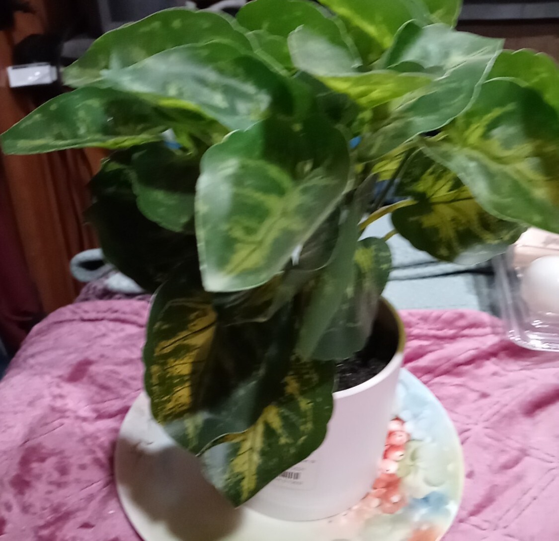 Project 62 Retired Faux Fake Ivy In A White Ceramic Planter New 9″ Tall New
