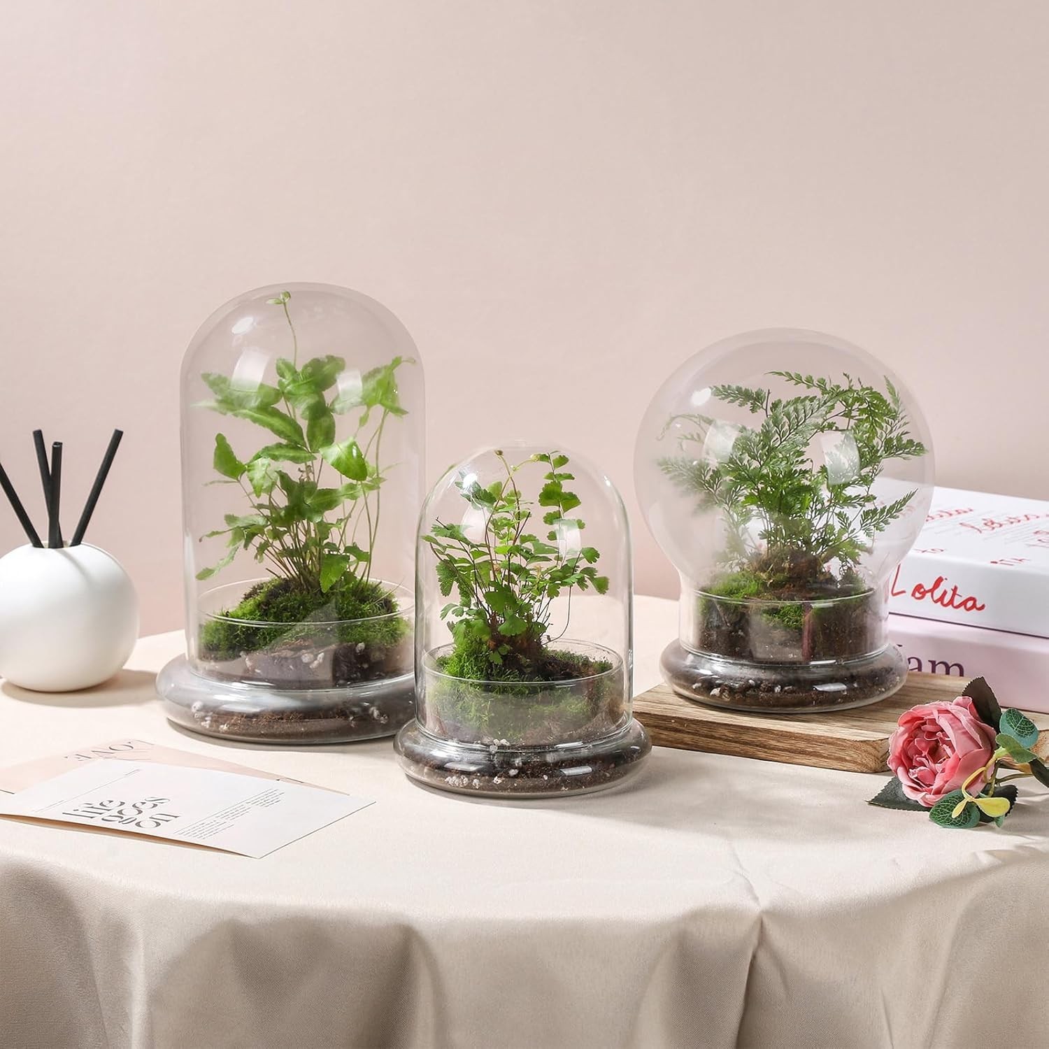 Durable 8” Mini Glass Cloche with Drainage Hole – Perfect for Small Plants